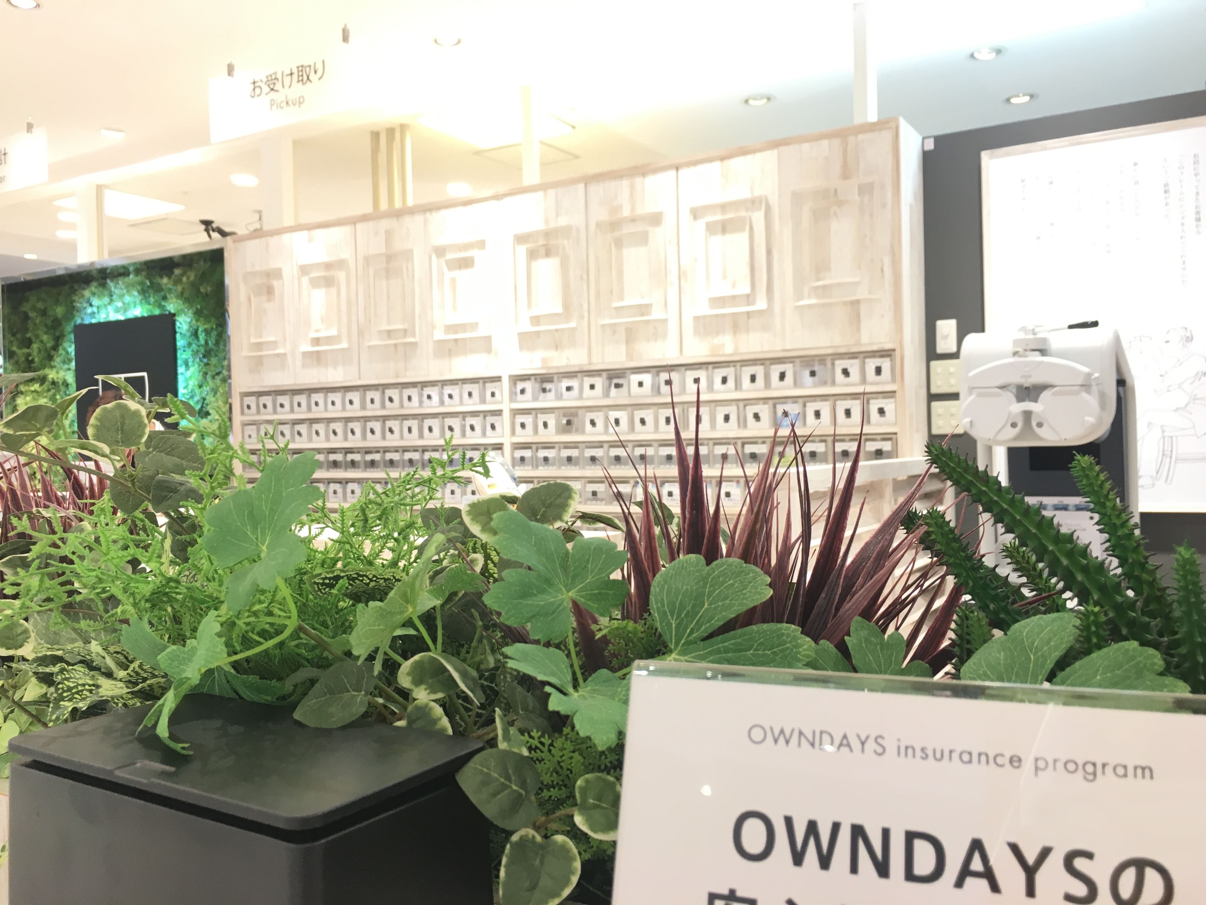 店内の様子、グリーンと淡い色の木材でスッキリしています。